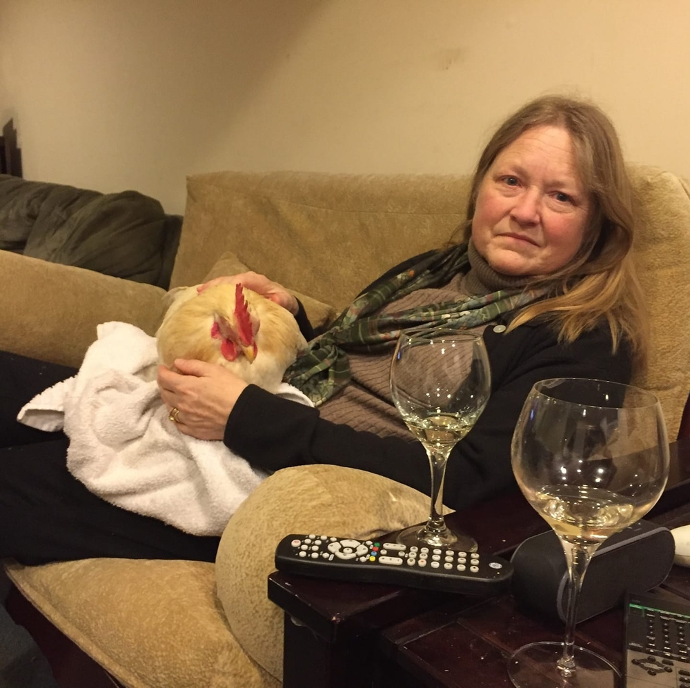 Meet your Posher, Julie